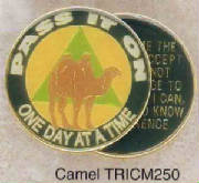 camel-tricm250.jpg