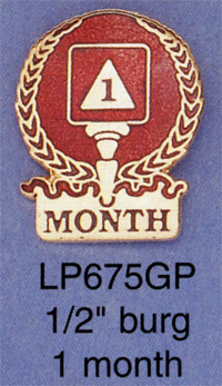 lp675gp_lg.jpg